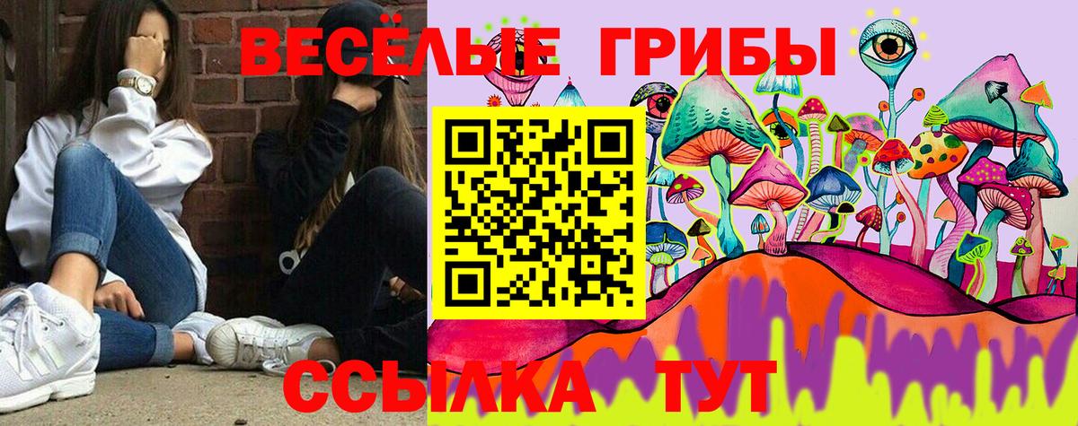 Электросталь  Псилоцибиновые грибы прущие грибы  Вход с VPN 